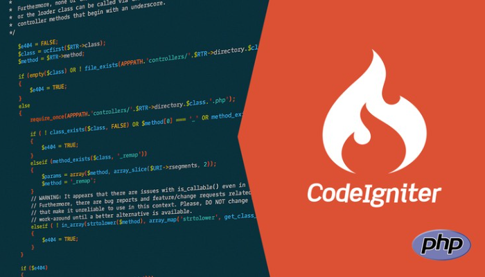 Profesyonel PHP Yazılım Geliştirme Hizmeti - CodeIgniter4