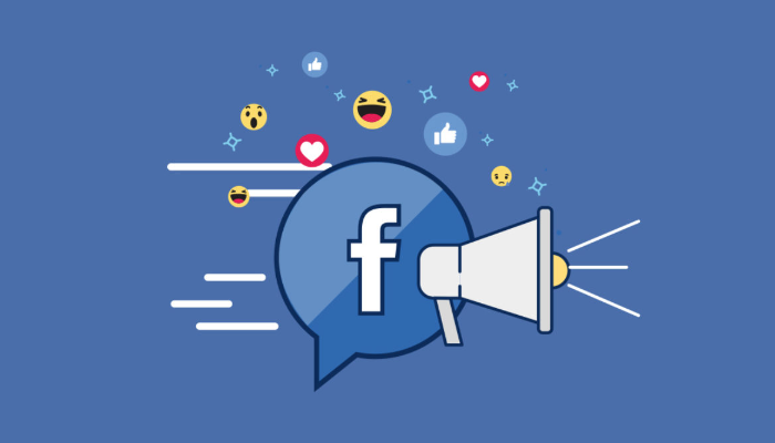 Profesyonel Facebook Reklamları Yönetimi