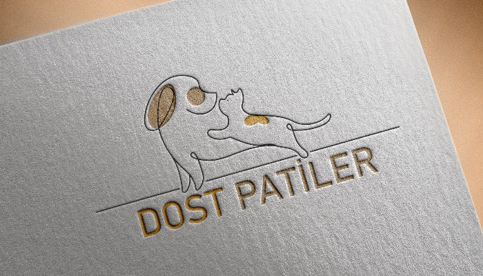 profesyonel ve modern logo tasarımı yaparım