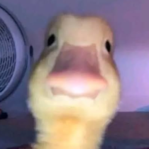 umutacar