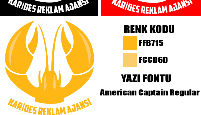 Marka kimliğinizi yansıtıcak,profesyonel bir logo tasarımı