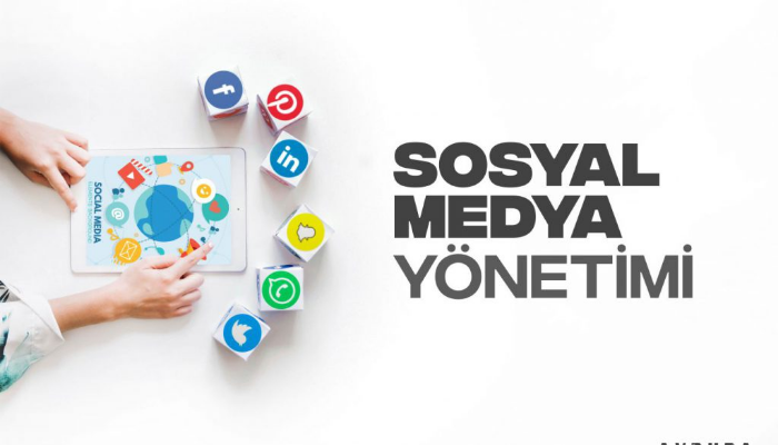 Sosyal Medya Hesaplarını Organik Büyütelim