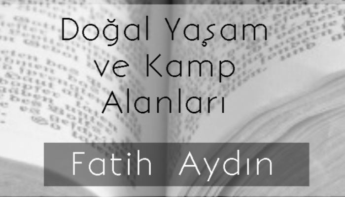 Gezi, kamp ve doğa hakkında yazılar yazabilirim