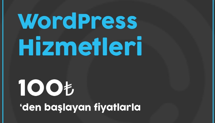 WordPress Siteniz İçin Profesyonel Teknik Destek