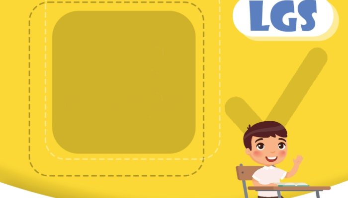 Aylık Profesyonel Sosyal Medya Yönetimi Yapalirim