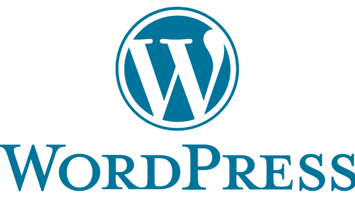 Firmanızı ve Ürünlerinizi Dijitale Taşıyacak Profesyonel Web Site