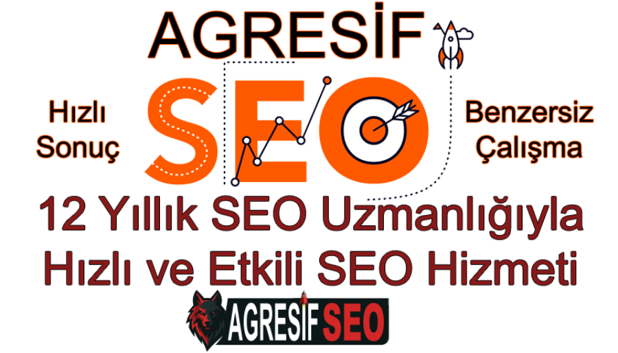 Agresif seo hizmeti - Seo uzmanından 1 günde sıralama artışı