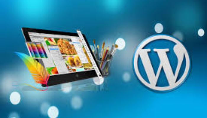 Wordpress Web Sitenizi İsteğinize Uygun Özelleştiririm